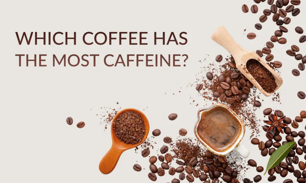 Which Coffee Has The Most Caffeine