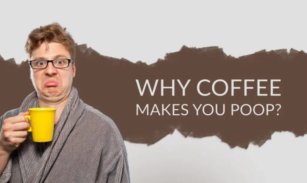 Why Coffee Makes You Poop